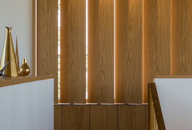14_Krullung_nagylamellas_arnyekolo_epiteszeknek